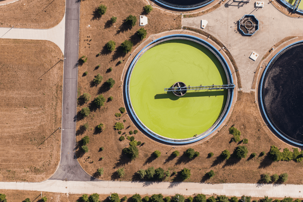 Water treatment plants (WTP) take in source waters then remove 95-99% of blue-green algae (cyanobacteria) cells and the toxins they produce...