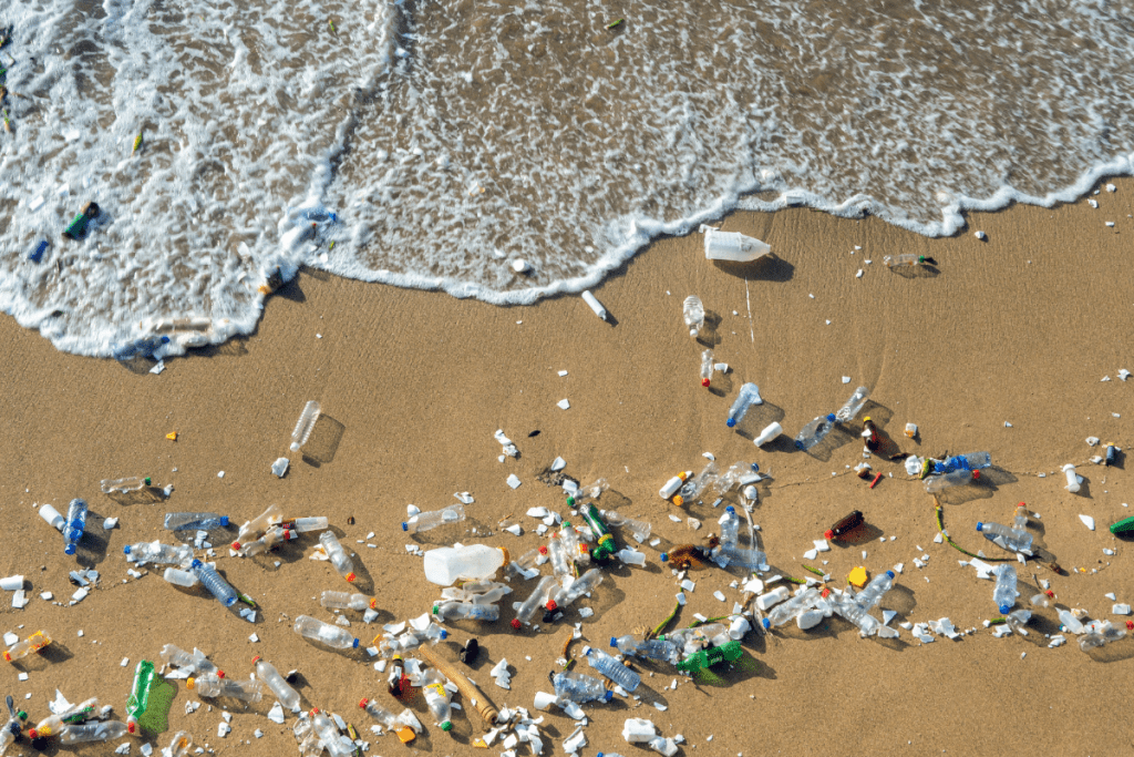 Tonnes of microplastics end up in our oceans and waterways each year impacting animals and the environment, as well as wastewater treatments plants and other infrastructure...