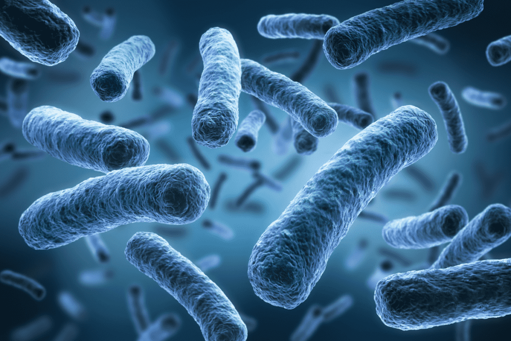Bacteria such as Legionella occur naturally in freshwater...
