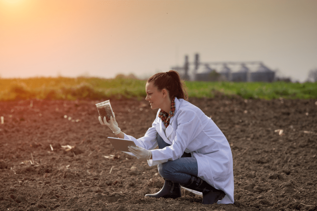The project aims to investigate the impacts of biosolids biochar immobilized bacteria on soil microbial activity and diversity during arsenic phytoremediation...